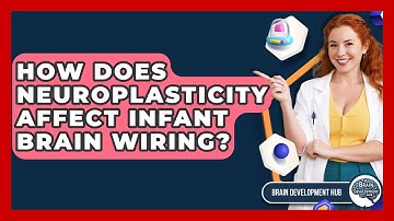 How Does Neuroplasticity Affect Infant Brain Wiring? - Brain Development Hub