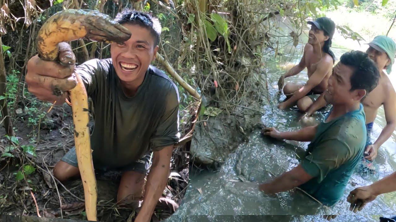 NAGKAGULO SA KASILING MARO