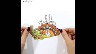 Thank Gourd For This Day - Stop Motion Animation By Rachel Ryle