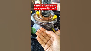 19 अगस्त एकादशी के दिन एक चावल के दाने का उपाय करे #pujyapanditpradeepmishra #ekadashi #shorts