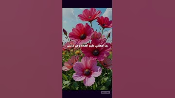 #تلاوة #المصحف #اكسبلور #quran #القرآن_الكريم #الشيخ#سعود_الشريم #اللهم_صل_وسلم_على_نبينا_محمدﷺ