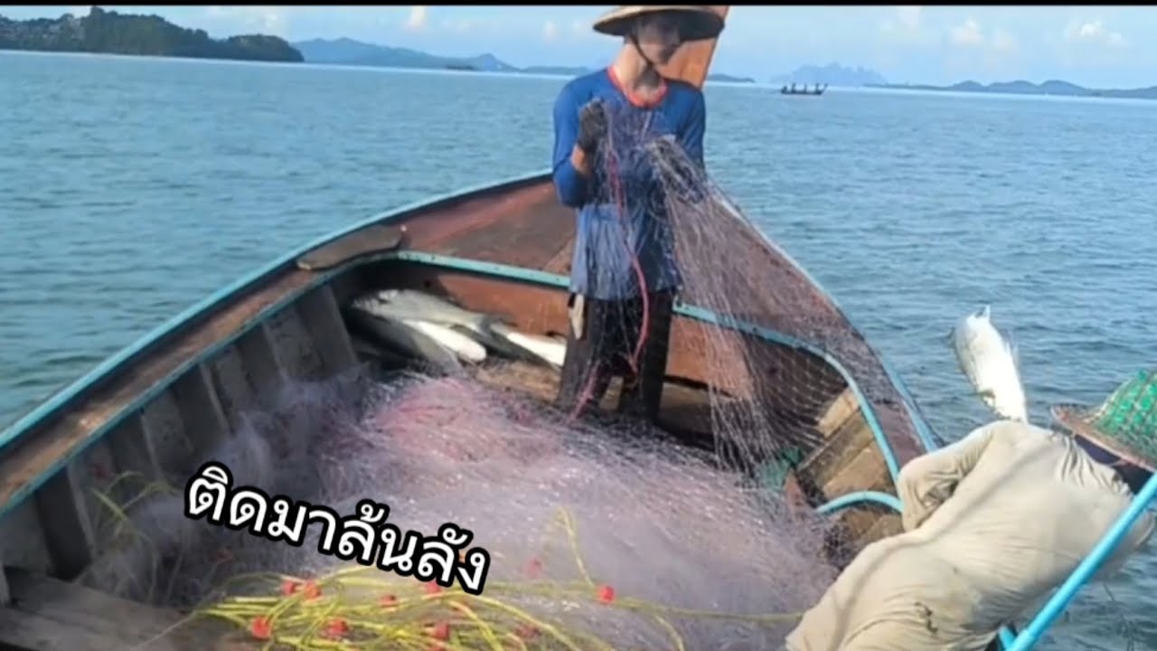 วางอวนปลากระบอกใหญ่ ติดมาเป็นฝูง EP.6 [เรือหัวโทงภูเก็ต]