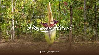 Download lagu TUNTUTAN TUHAN | Renungan Harian®