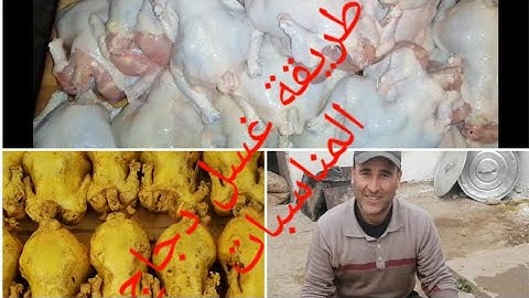 تحت الطلب المشاهدين ليوم جبت ليكم👌طريقة غسيل دجاج المناسبات مع سر🤔باش يجيكم بنين ولذيذ👍