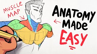 How I Learn Anatomy For Drawing (Using Muscle Maps)