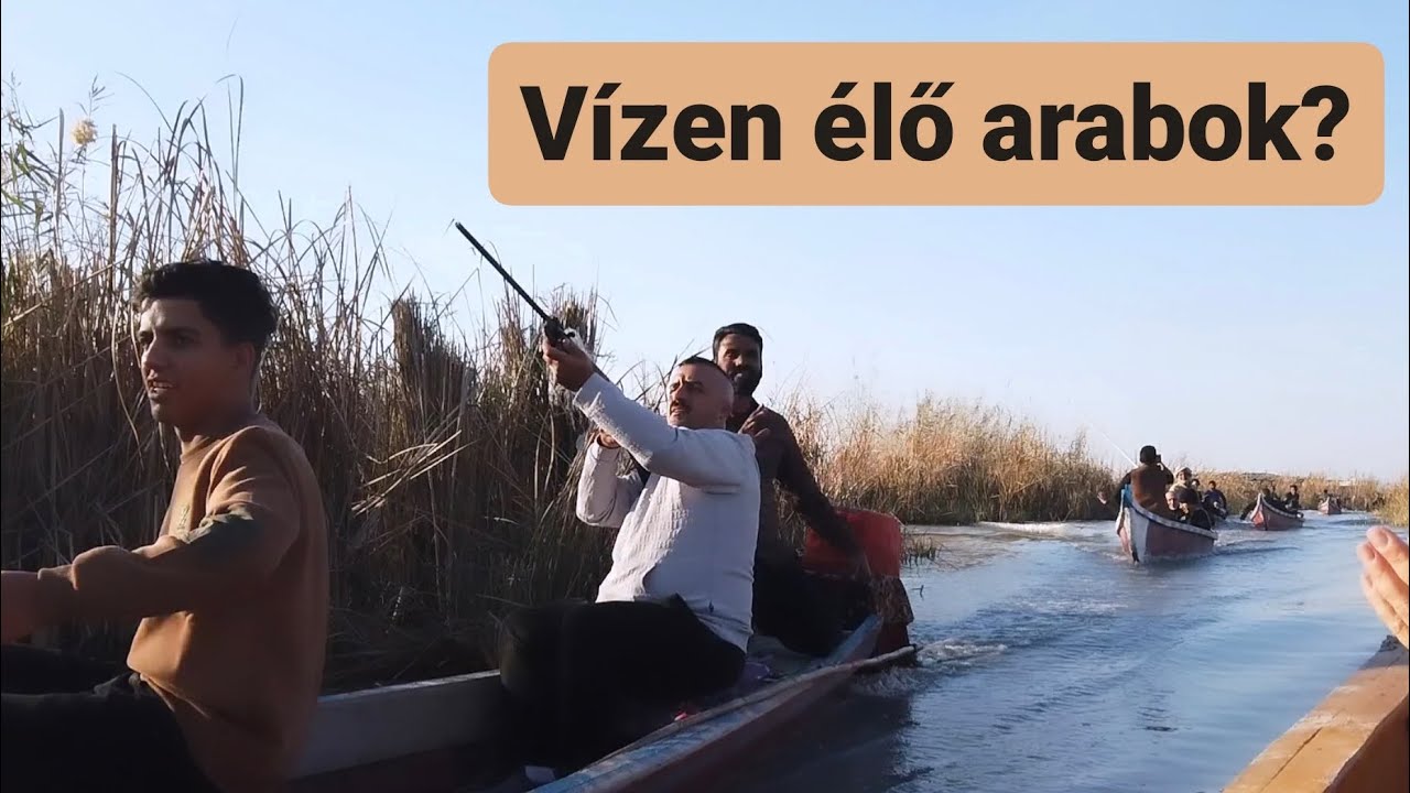 A mocsári araboknál jártunk 🇮🇶🐃🛶