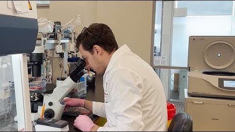 In Focus: Exploring innovative ways to make CAR T-cells more effective