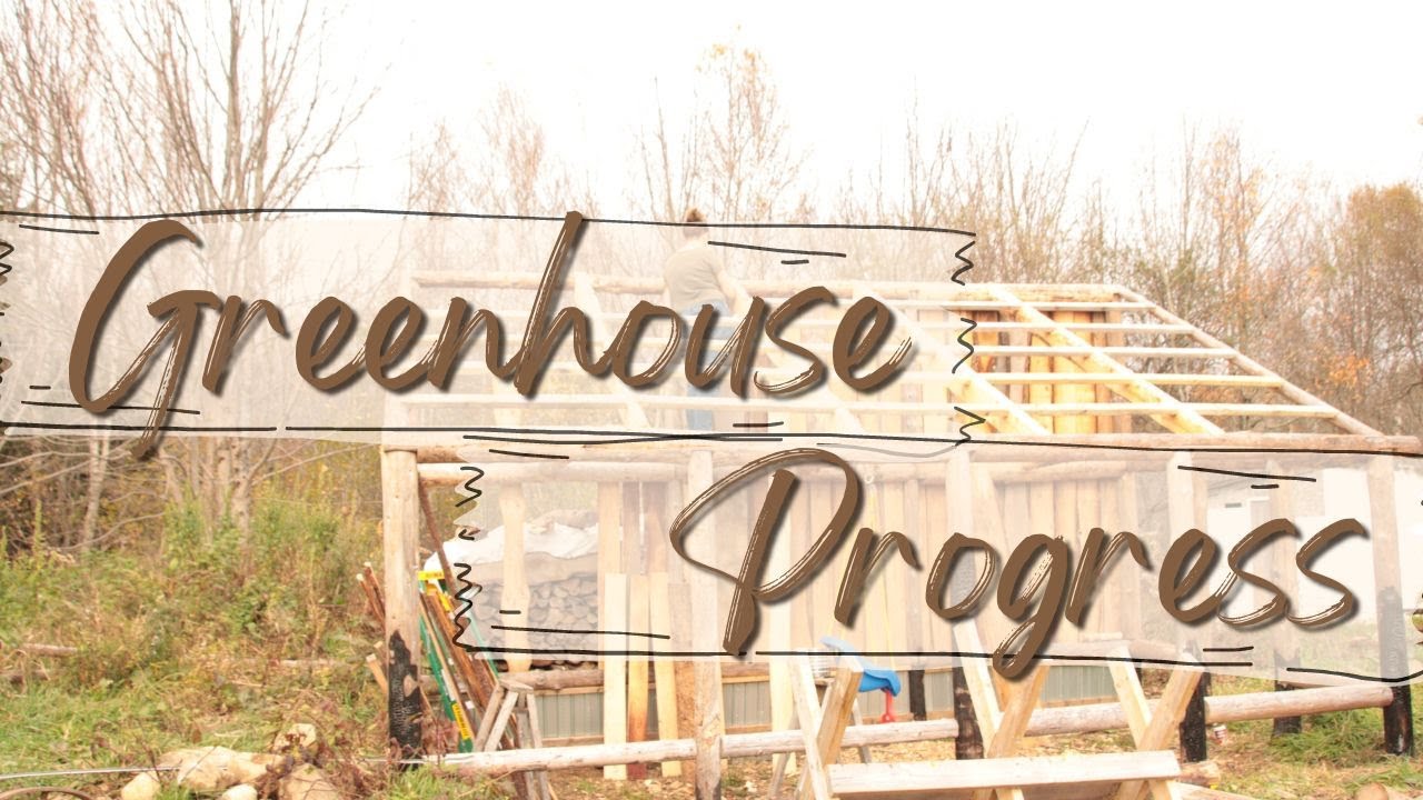 Adding a Roof to the Greenhouse! Building Our DIY Greenhouse