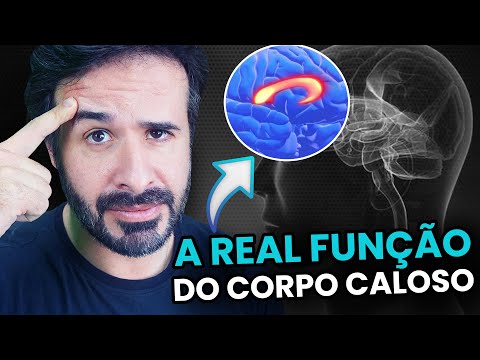 A REAL FUNÇÃO DO CORPO CALOSO