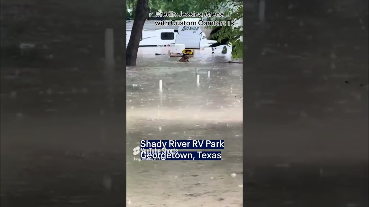 Texas Flooding Georgetown Good Samaritan Rescues Dog From Floodwaters FOX 7 Austin