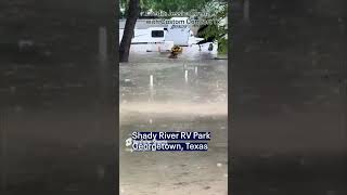 Texas flooding: Georgetown Good Samaritan rescues dog from floodwaters | FOX 7 Austin