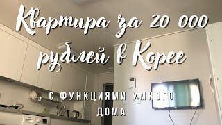 Снимаем квартиру в Корее за 20 000 рублей!!! ОБЗОР.