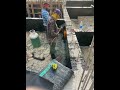 Waterproofing sheet fixing #bitumen