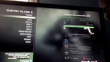 Best type 95 class setup mw3