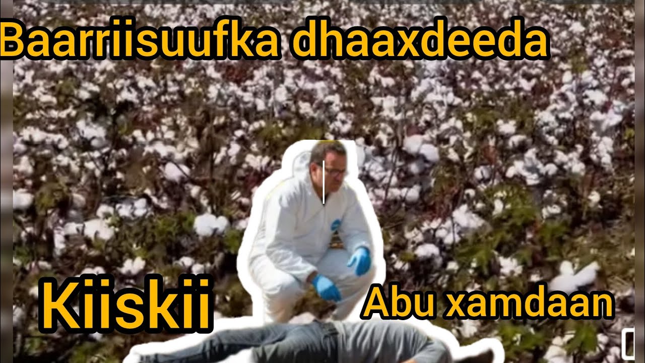 Qiso dambi baaris ah kiiska abu xamdaan @hafsabilanchannel
