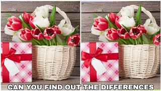 Differences Game Level 6 - Spot the difference - Find the difference - Android Gameplay screenshot 1