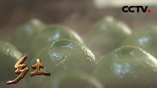 《乡土》 20180405 梨花风起正清明 | CCTV农业