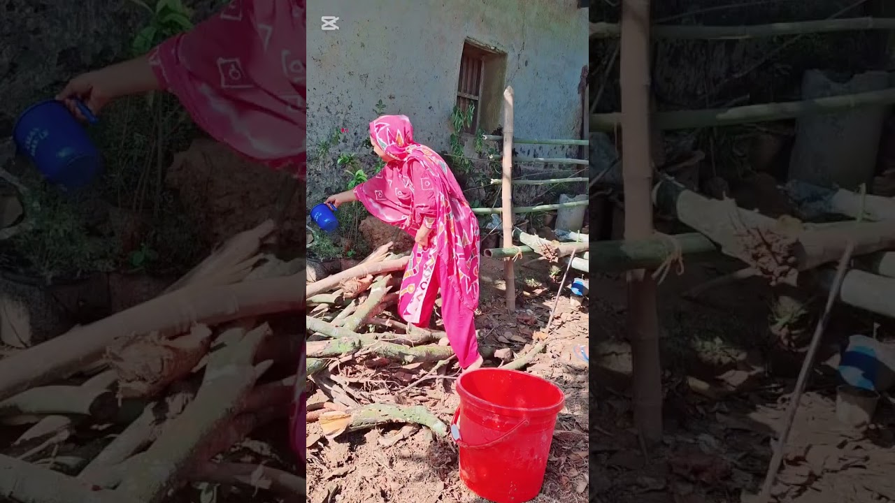 একটা বাড়ি আর সাজানো গোছানো সংসার সব মেয়ের স্বপ্ন।