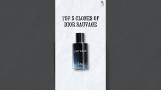 Top 5 Dior Sauvage Clone You Can Buy #shorts