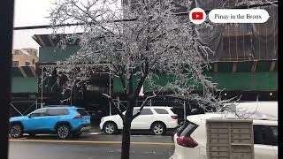 Iced Branches And Wires Freezing Is Real Pinay In The Bronx
