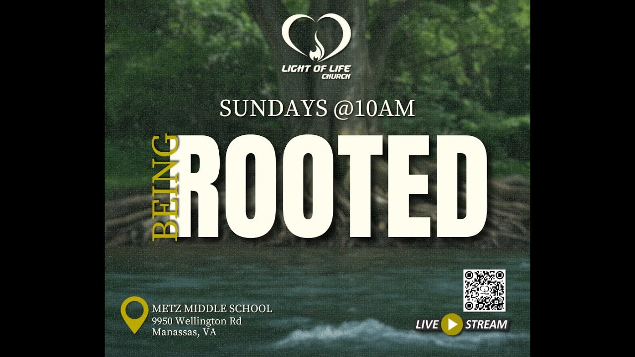 Being ROOTED - Part 1 (The Paradox of Pruning)