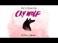 Miniature de la vidéo de la chanson Cry Wolf