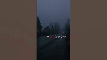اغاني حب عيني عيني عليك اليسا أغاني ستوريات انستا 