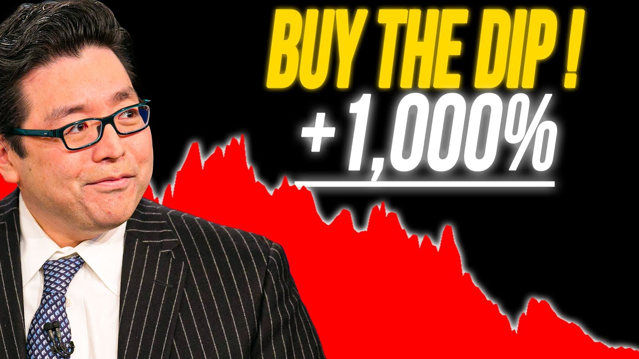 Tom Lee stocks picks: top 3 small-cap stocks ready to explode in 2025 ...
