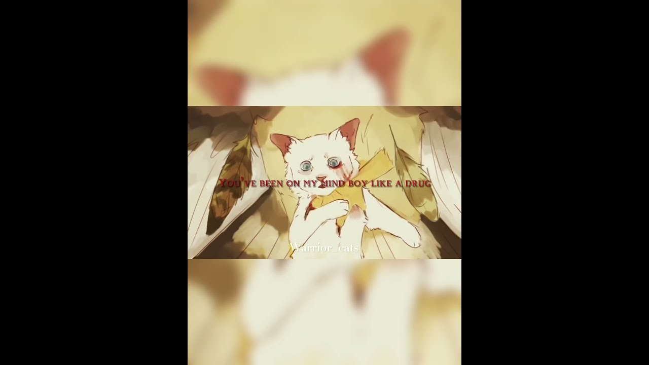 Warrior Cats Who Deserve A Second Chance Warriorcats Snowkit Swiftpaw Bristlefrost Mosskit