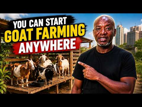 You Don’t Need a Big Farm to Start Goat Farming (Here’s the Truth)
