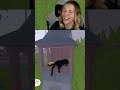 SPLOOT | justjaicee on #Twitch #littlekittybigcity #pcgamepasspartner #gamer #gamergirl #twitchclips