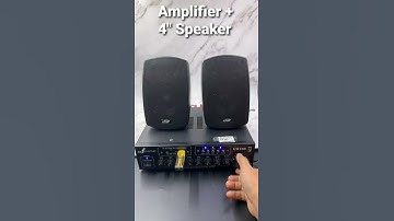 Amplifier GW Swiftlet GW200 + 4" JDM FS420T Speake