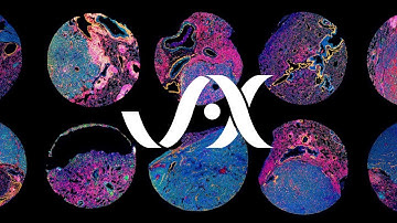JAX in Motion | Tissue AI: The Future of Tumor Imaging