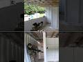Advantage Peeking CQB #airsoft #military #shorts