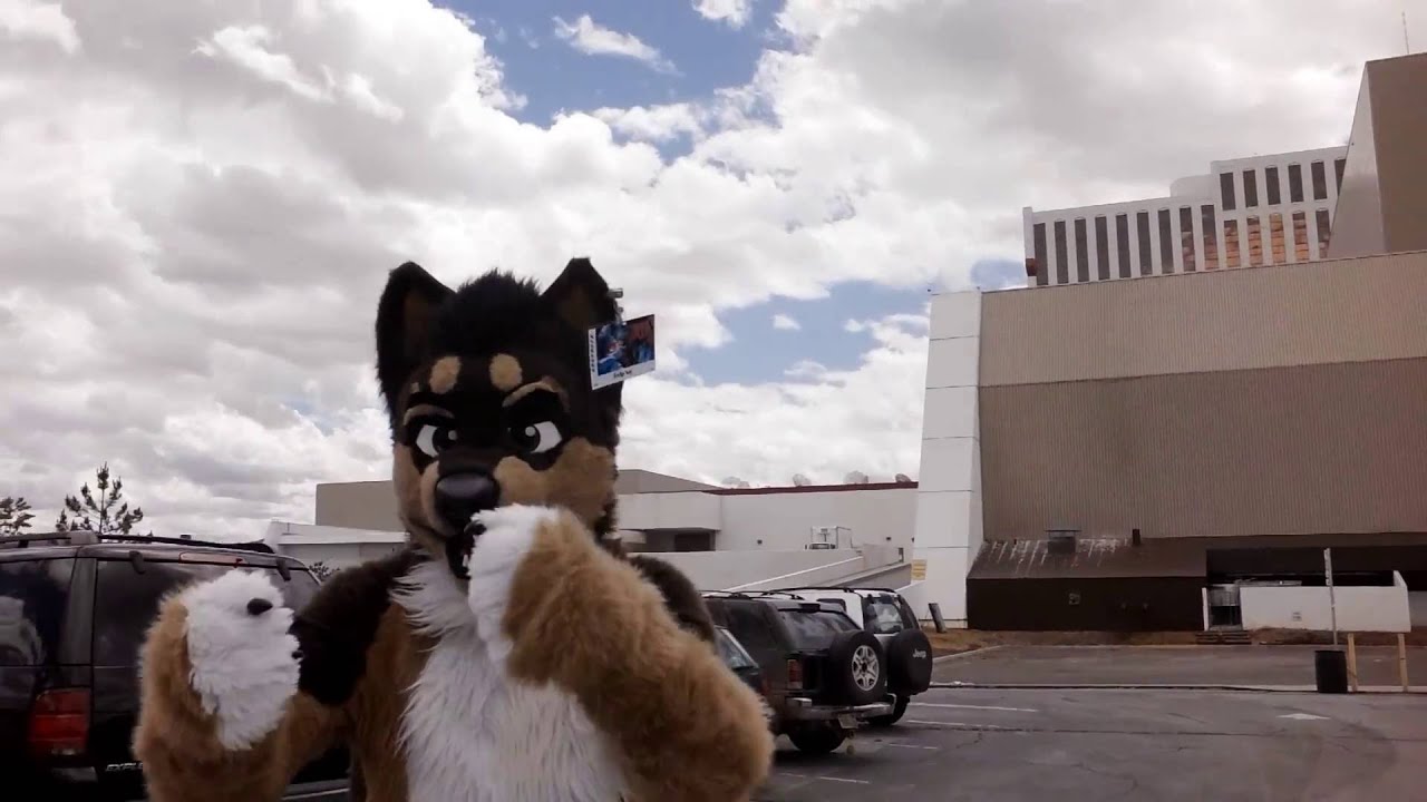 Apari's Biggest Little Fur Con 2016 Con Video - YouTube