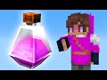 Infuse smp is back