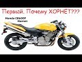 Первый мотоцикл, почему Honda CB600F Hornet?