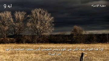 قرآن كريم بصوت القارئ: ياسر الدوسري || أجمل حالات واتس اب دينيه || تلاوة خاشعة 🌿