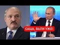 Саша, вали! Путин однозначен - вон Лукашенко: Кремль устал. Дни усатого сочтены, борьба за власть