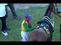 JAMAICA RACING: Linguist Delivers As Expected In Sat, May 16, 2026, 9th