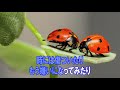Miniature de la vidéo de la chanson 手をつなぐ理由 (Instrumental)