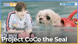 CoCo is adjusting well in the water! 🤿🤿🤿 [Boss Pet : EP.17-2] | KBS WORLD TV 221029