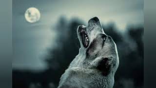 The Moon - Poem by Robert Louis Stevenson