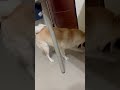超高速挖寶藏