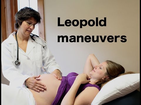 Leopold&rsquo;s Maneuvers for NCLEX RN