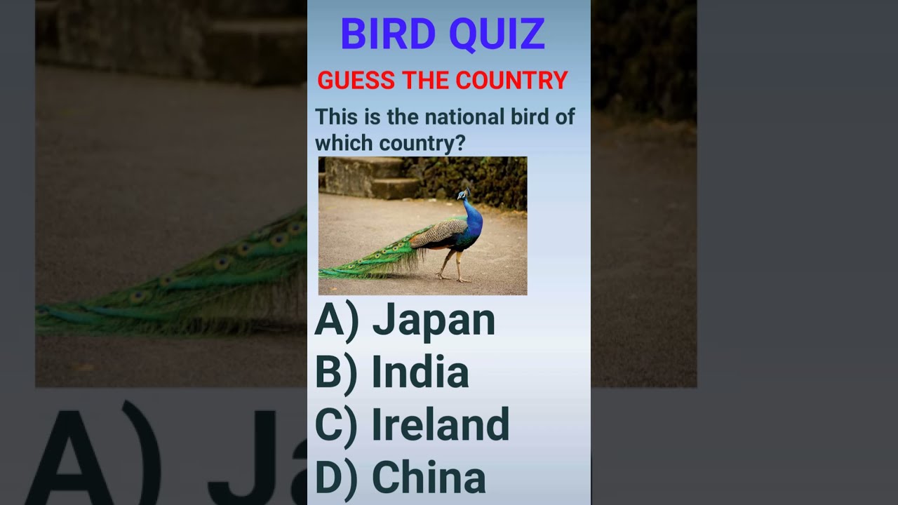  National Birds Of The World Country GK Quiz Gk Facts Shorts
