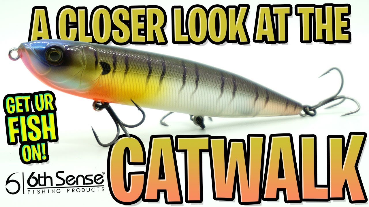 A Closer Look at the NEW TOPWATER 6th Sense Fishing CATWALK 