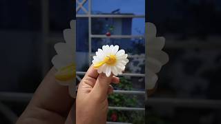Beautiful Handmade Candle Making | Relaxing Art Process #Shorts