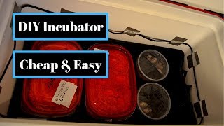DIY Incubator | Cheap and Easy Home Made Reptile Egg Incubator