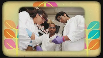 Biomedical Engineering